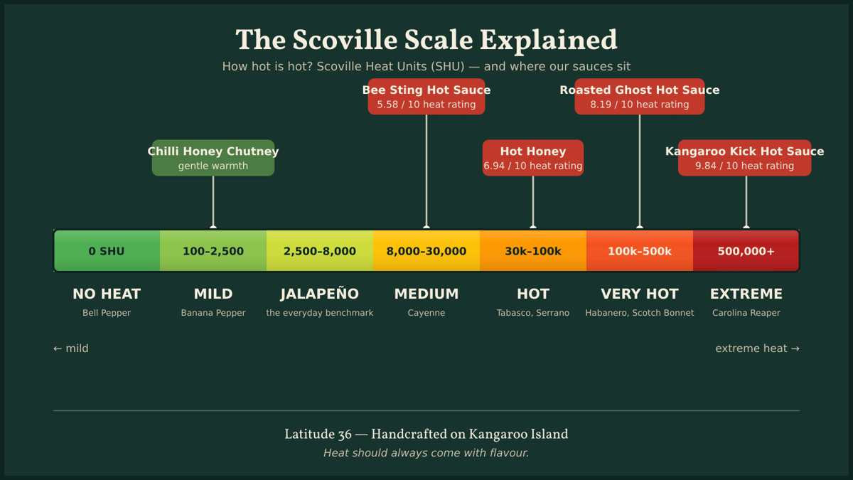 Wide Scoville scale infographic — heat bands from bell pepper (0 SHU) to Carolina Reaper (500,000+ SHU) with Latitude 36 sauce heat ratings